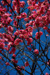 DSC_0329s.jpg