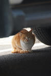 DSCF4956s.jpg