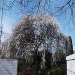 DSCF4967_stitch_s.jpg