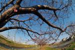 DSC_1309s.jpg