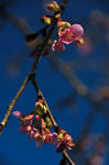 DSC_1374s.jpg