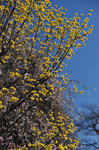 DSC_1458s.jpg