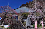 DSC_1491s.jpg