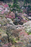 DSC_1545s.jpg