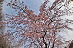 DSC_1882s.jpg