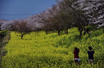 DSC_2091s.jpg