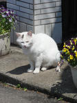 DSC00052s.jpg