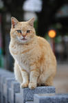 DSC_2335s.jpg