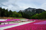 DSC_2739s.jpg
