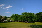 DSCF5069s.jpg