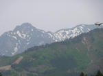 DSC00074s.jpg