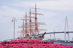 DSC_8174s.jpg