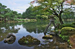 DSC_8246s.jpg