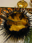 DSC00583s.jpg