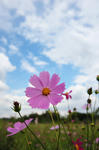 DSC_1437s.jpg