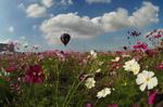 DSC_2390s.jpg