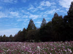 DCF00019s.jpg