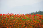 DSC_3505s.jpg