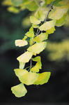 DSC_3514s.jpg