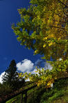 DSC_5759s.jpg