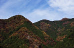 DSC_5849s.jpg