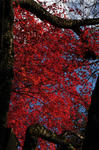DSC_6051s.jpg