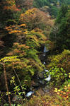 DSC_6085s.jpg
