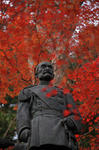 DSC_8372s.jpg