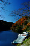 DSCF6040s.jpg