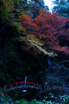 DSCF6089s.jpg