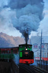 DSC_9520s.jpg