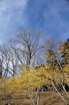 DSC_9774s.jpg
