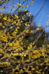 DSC_9778s.jpg