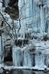 DSC_9823s.jpg