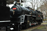 DSC_9918s.jpg