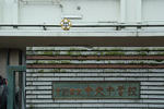 DSCF6901s.jpg