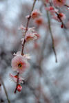 DSCF7051s.jpg