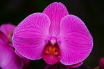 DSCF7063s.jpg