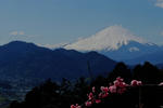 DSCF8136s.jpg