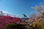 DSC_0107s.jpg