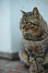 DSC_0178s.jpg