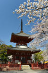DSC_0236s.jpg