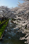 DSC_0291s.jpg