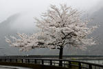 DSC_0605s.jpg