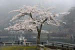 DSC_0615s.jpg