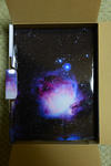 DSC_0687s.jpg