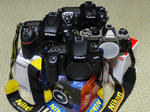 DSC00719s.jpg
