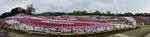 DSC_0788_stitch_s.jpg