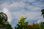 DSC_4895s.jpg