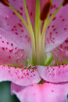 DSC_4912s.jpg